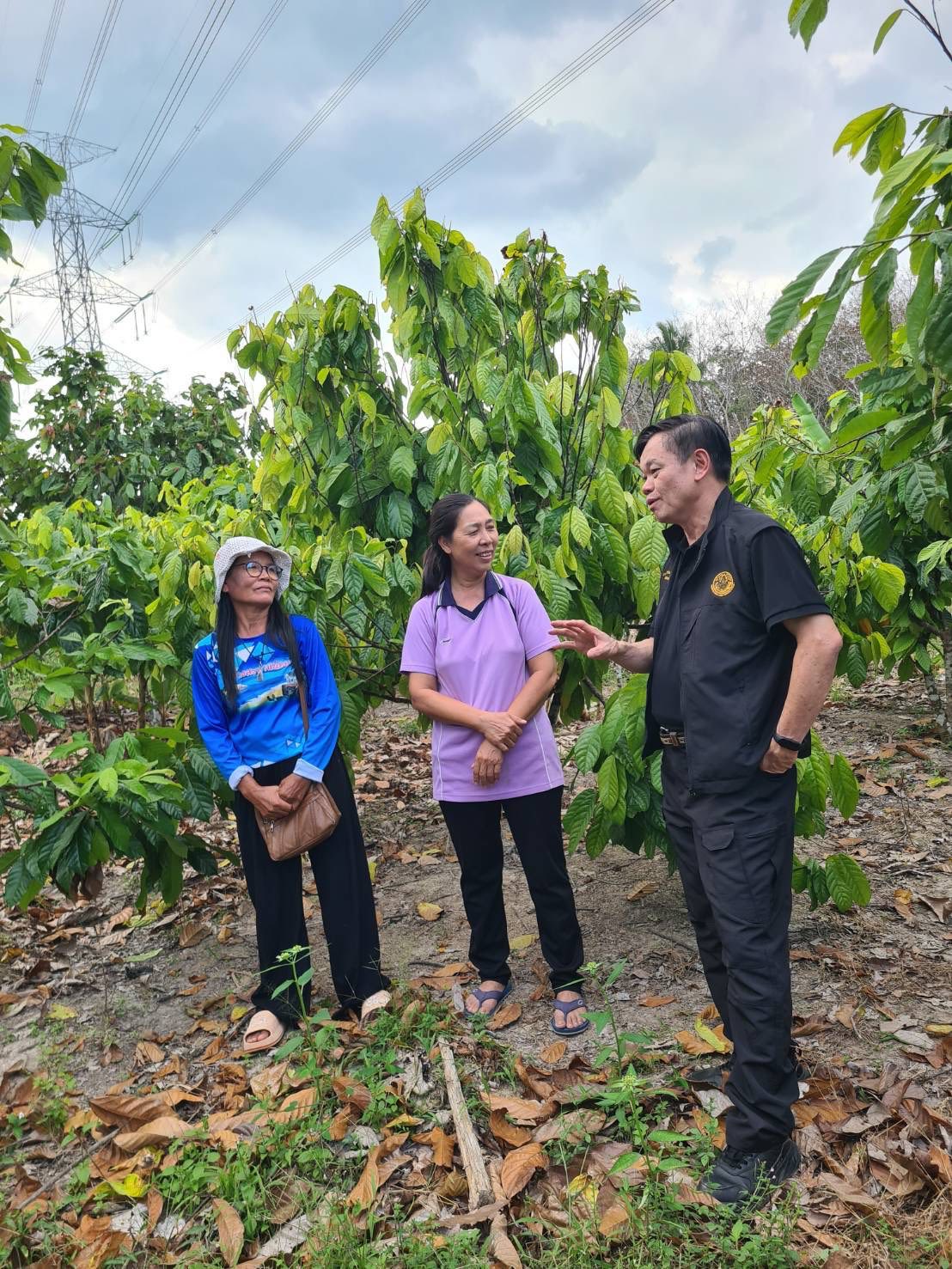 title - ผู้ตรวจราชการกรม ประชุมติดตามผลการดำเนินงานตามแผนการตรวจราชการของ ส.ป.ก. ประจำปีงบประมาณ พ.ศ. 2569 รอบที่ 1 จังหวัดประจวบคีรีขันธ์